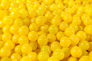 A Vibrant Burst Of Sunshine - Dandelion Field Wallpaper