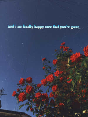 A Vibrant Red Flower In Full Bloom Against A Green Backdrop Wallpaper