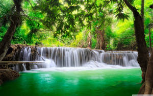 _ A View Of A Lush, Green Tropical Waterfall._ Wallpaper