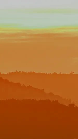 A Warm Light Orange Radiates A Calming Ambience. Wallpaper