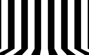 Abstract Black White Stripes Wallpaper