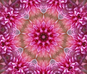 Abstract Pink Color Floral Pattern Wallpaper