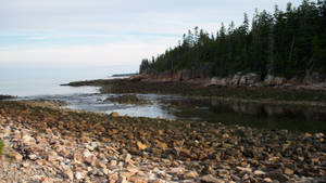 Acadia National Park Bass Harbor Wallpaper