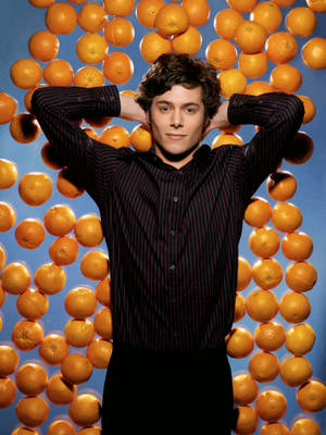 Adam Brody Oranges Wallpaper