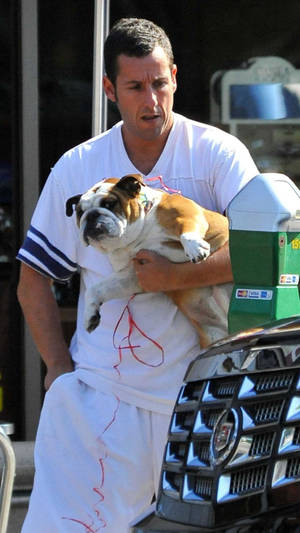 Adam Sandler With His Pug Wallpaper