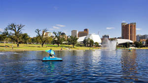 Adelaide Lake Torrence Paddle Boat Wallpaper