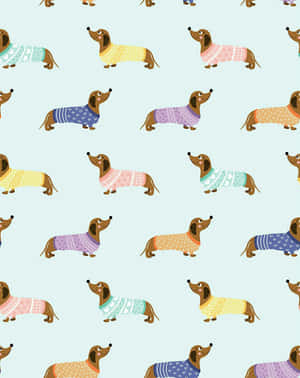 Adorable Dachshund Puppy Showing His Curled Up Tail Wallpaper