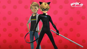 Adrien Agreste And Cat Noir Wallpaper