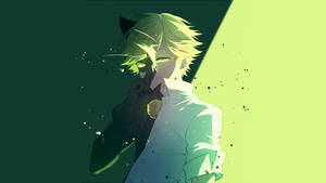 Adrien Agreste Two-faced Art Wallpaper