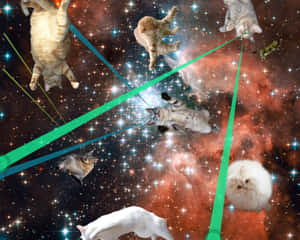 • Adventure, Exploration, And Now #space For Cats Everywhere! Wallpaper