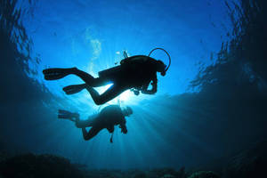 Adventurous Scuba Divers Exploring The Blue Depths Wallpaper