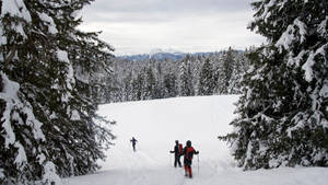 Adventurous Snowshoeing Expedition In Snowy Mountains Wallpaper