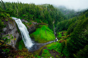 Aerial Green Nature Photo Wallpaper