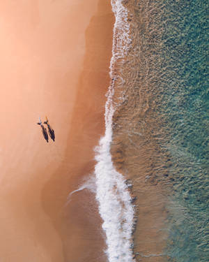 Aerial View Bondi Beach Australia Wallpaper