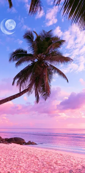 Aesthetic Beach Moon Scene Wallpaper