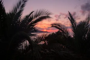 Aesthetic Beach Sunset Wallpaper