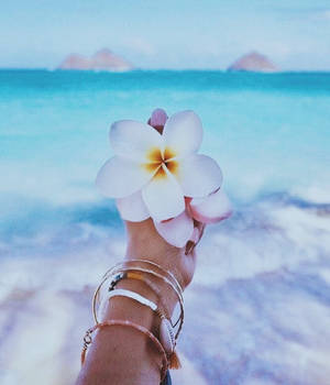 Aesthetic Beach White Flower Wallpaper