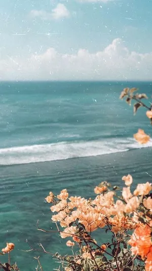 Aesthetic Beach Wild Flowers Wallpaper