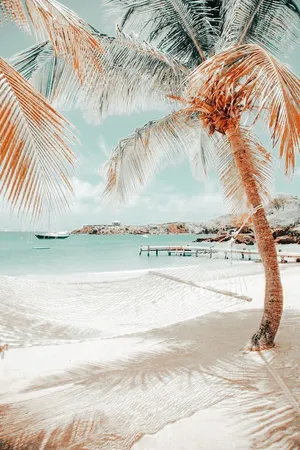 Aesthetic Beach With Fine White Sands Wallpaper