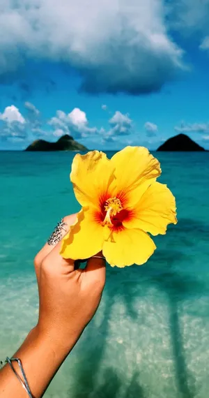 Aesthetic Beach Yellow Flower Wallpaper