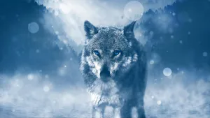 Aesthetic Blue Wolf Wallpaper