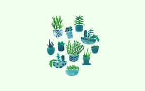 Aesthetic Cactus On Mint Wallpaper