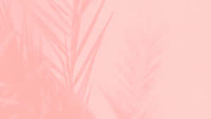 Aesthetic Computer Light Pink Leaves Silhouette Wallpaper