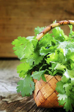 Aesthetic Coriander Plant On Woven Basket Wallpaper