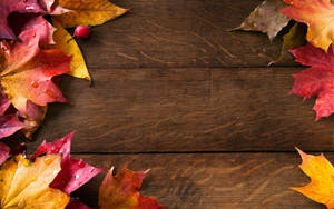 Aesthetic Fall Wood With Maple Leaves Wallpaper