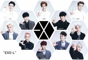 Aesthetic Hexagonal Exo Desktop Wallpaper