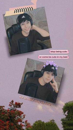 Aesthetic Image Of Quackity Wallpaper