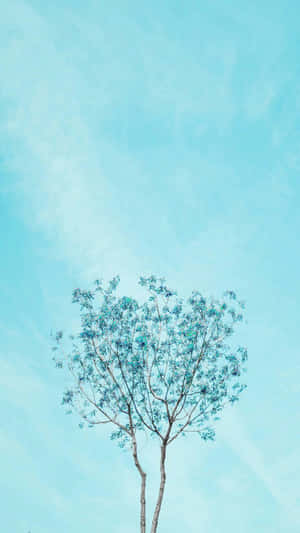 Aesthetic Light Blue Thin Tree Wallpaper