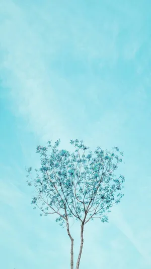 Aesthetic Light Blue Thin Tree Wallpaper