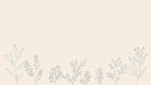 Aesthetic Line Drawing Leaves Minimalist Plant Desktop Wallpaper