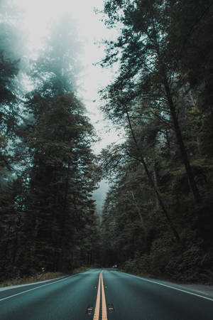 Aesthetic Lonely Mountain Forest Iphone Wallpaper