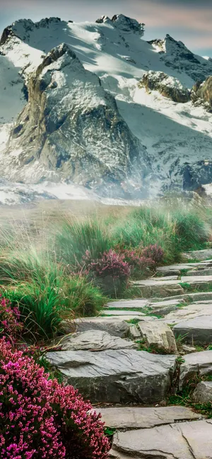 Natural scenery wallpaper hotsell
