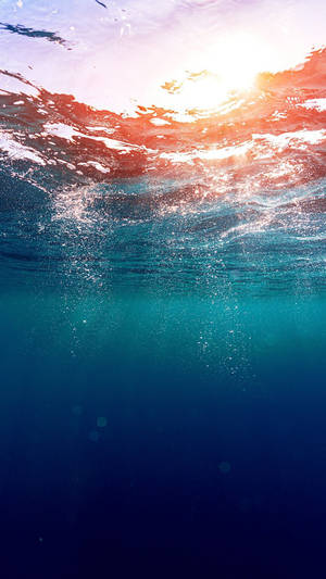 Aesthetic Ocean Underwater Wallpaper