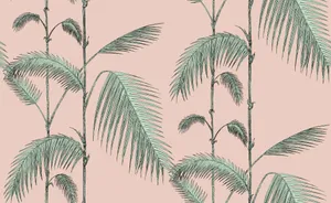 Aesthetic Palm Leaves Plain Art Wallpaper