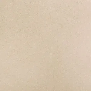 Aesthetic Plain Beige Wallpaper