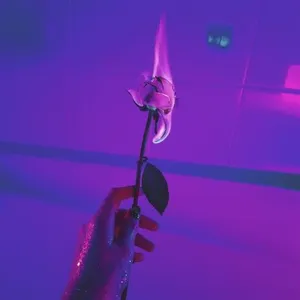 Aesthetic Profile Picture Flaming Rose Wallpaper