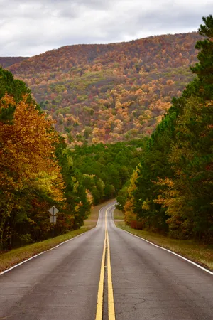 Aesthetic Road Portrait Wallpaper