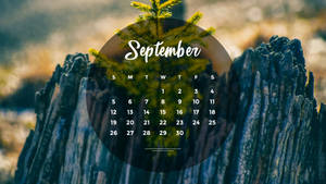 Aesthetic September 2021 Calendar Wallpaper