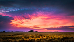 Aesthetic Sky In Vibrant Violet And Orange Wallpaper