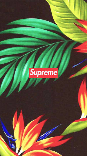 Aesthetic Supreme Hypebeast Wallpaper