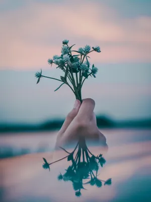 Aesthetic Tiny Flowers Wallpaper