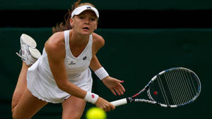 Agnieszka Radwanska Skillfully Balancing With One Leg Up Wallpaper