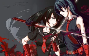 Akame Ga Kill Akame And Kurome Wallpaper