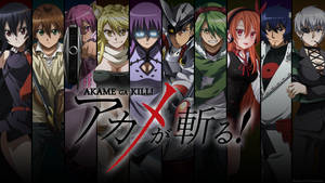 Akame Ga Kill Characters Poster Wallpaper