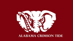 Alabama Crimson Tide White Elephant Wallpaper
