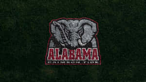 Alabama Football Team Crimson Tide Big Al Animal Mascot Wallpaper